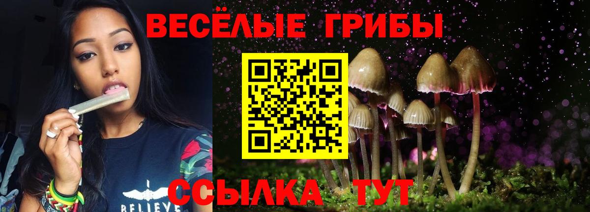Советская Гавань  Псилоцибиновые грибы мицелий  Вход с VPN 